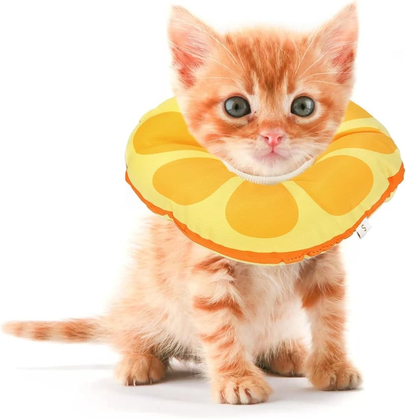 Jevnd Kitten Cones After Surgery 0-6 Months, Donut Extra Small Kitten Cone Collar Soft to Stop Licking Neck, Elizabethan Kittens e Collar for Recovery, xs Small Cat Cone Spray, Pet Soft Cone for Cats - Image 1
